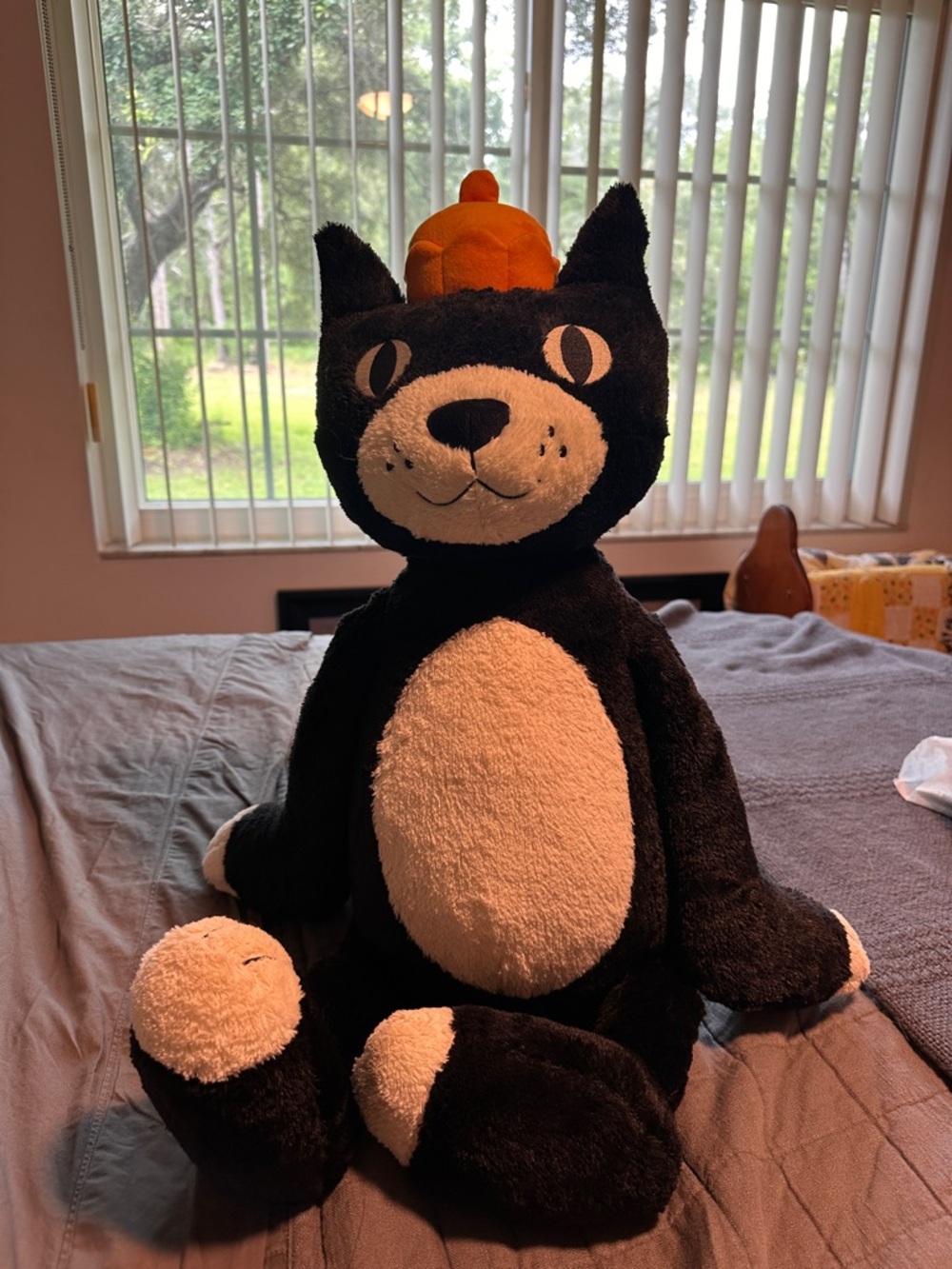 Big Jellycat Jack 🐈‍⬛